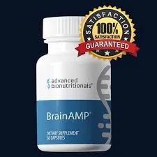 BrainAMP - Full Review 2026