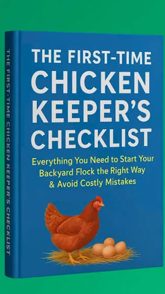 First Time Chicken Keepers Checklist - Full Review 2026